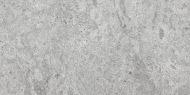 RAK CORAL STONE GREY 600x1200mm